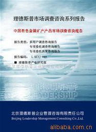 企业管理咨询 现代企业发展的战略引擎——以北京理德斯普企业管理咨询有限责任公司为例